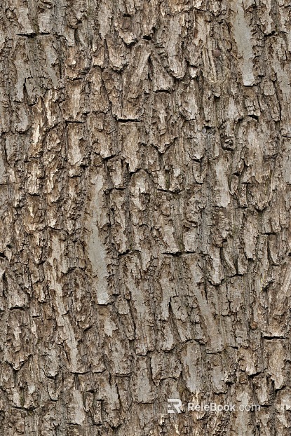 bark texture