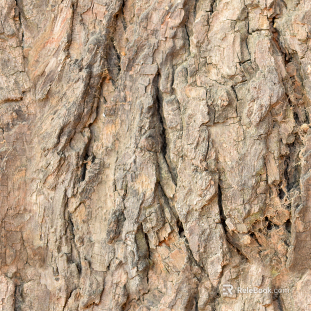 bark texture