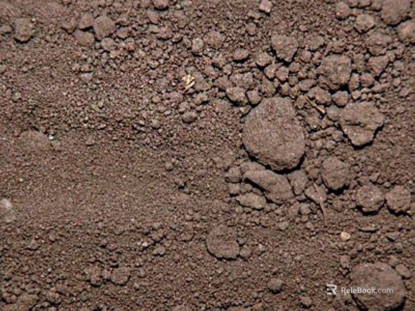 Dark brown soil, outdoor ground texture