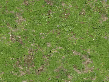 Turf ground 3d model