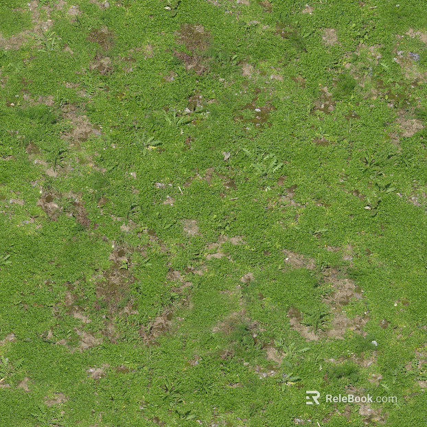 Turf ground texture