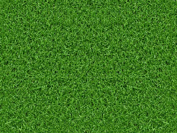 Turf texture (ID:ffaef4127)