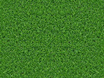 Turf texture (ID:ffaef4127)