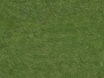 Turf texture (ID:ffacg36215)