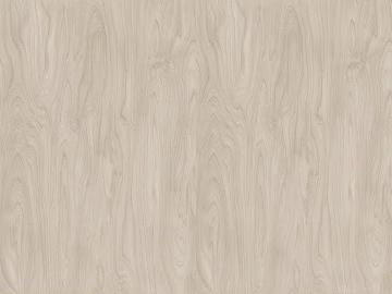 Ocean Board Birch 3d model
