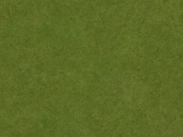 Turf texture (ID:ffacg72036)