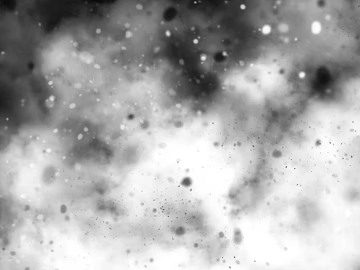 Black and white dust texture (ID:ffach931361)