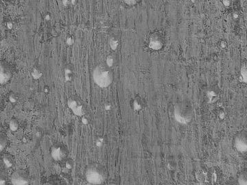 bark texture (ID:ffacg01245)
