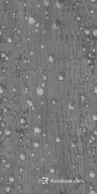 bark texture