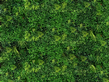 Turf texture (ID:ffabg20620)