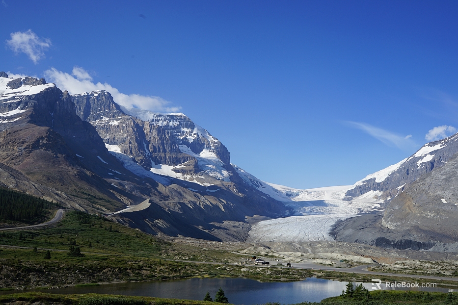 Wild Scenery texture