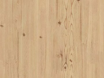 Wood grain New Zealand pine 3d model