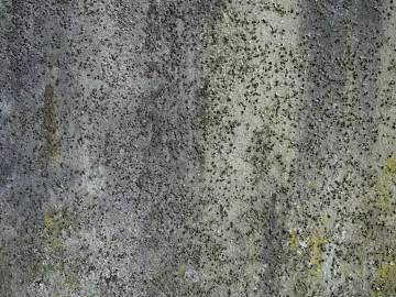 Gravel texture (ID:ffaeg28463)