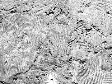 Cement texture (ID:ffaag59601)