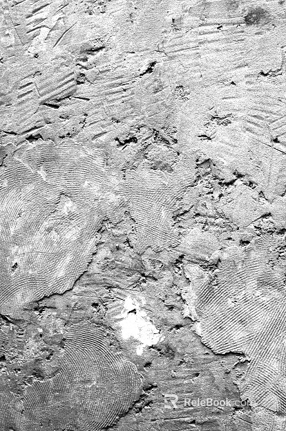 Cement texture