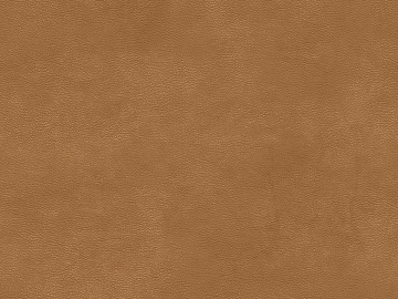 fine grain leather texture (ID:ffabg94353)