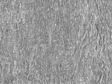 bark texture (ID:ffagg50992)
