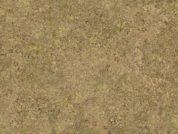 Turf ground texture (ID:ffaaf7907)