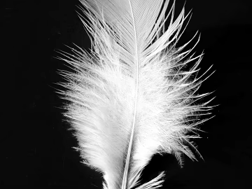 black and white painting texture (ID:ffacg95062)