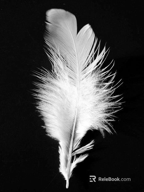 black and white painting texture