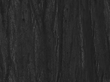 Wood grain texture (ID:ffagg10939)
