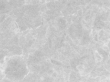 Cement floor texture (ID:ffajg11975)