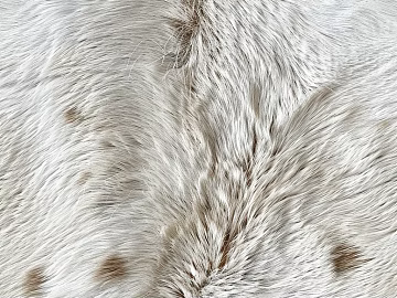 Giraffe skin texture (ID:ffach775865)