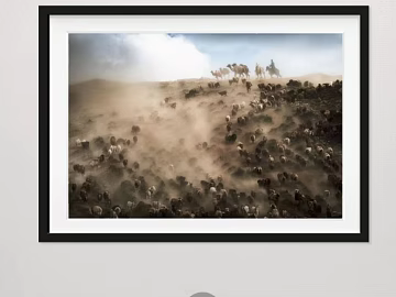 Animal painting texture (ID:ffabg04902)