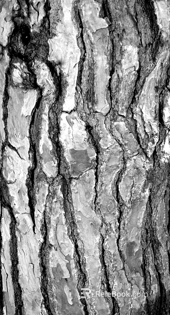 bark texture