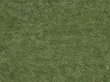 Grassland texture (ID:ffabg86125)