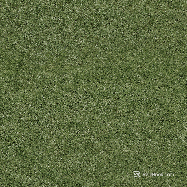 Grassland texture