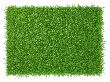Turf texture (ID:ffaeg40804)