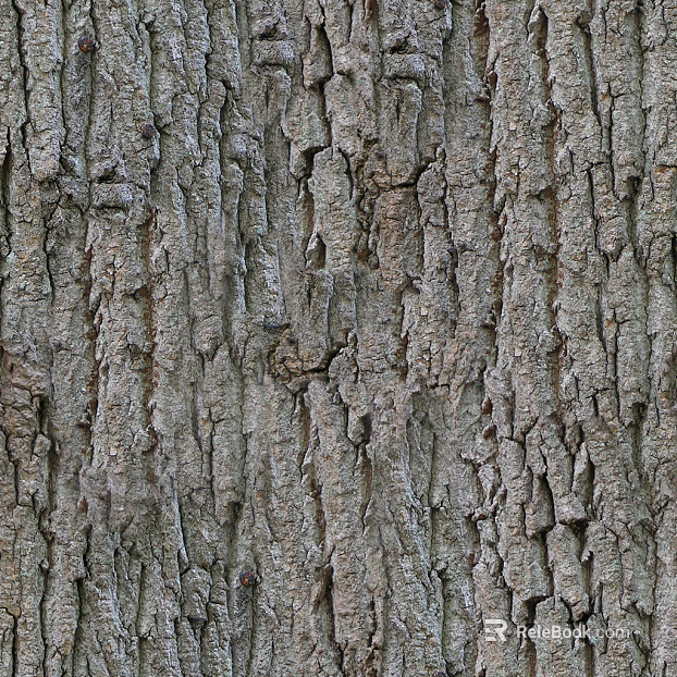 bark texture