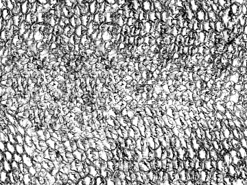 Black and White Bump 3d model