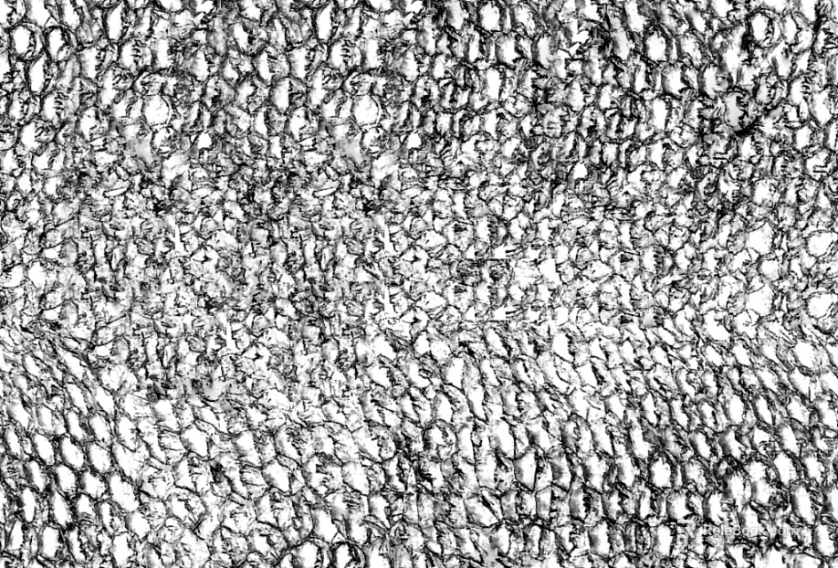 Black and White Bump texture