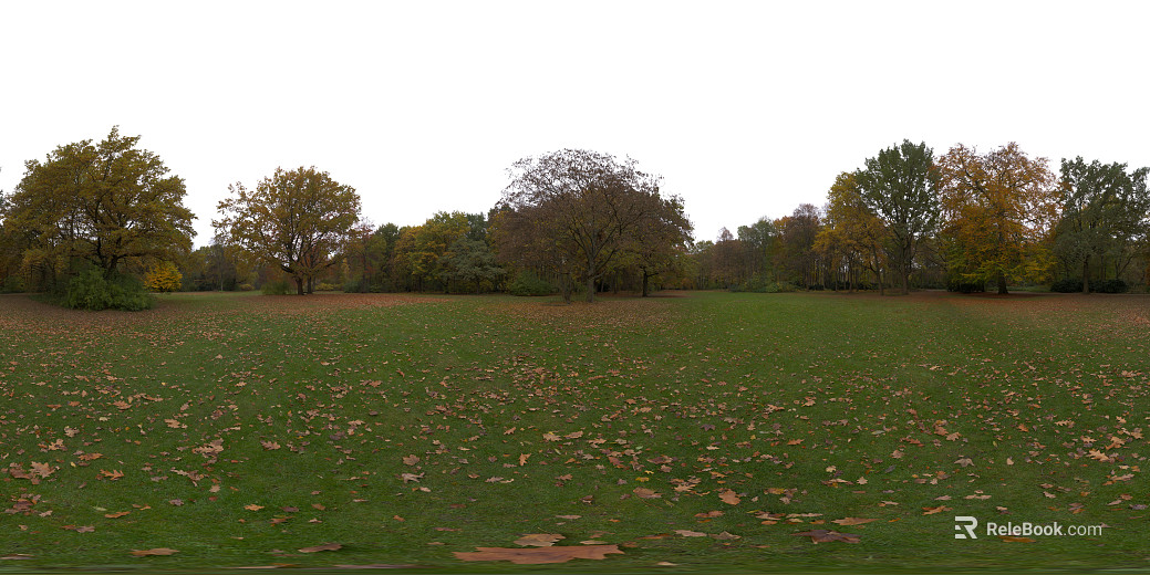 Outdoor Lawn Park Autumn Daytime HDR texture
