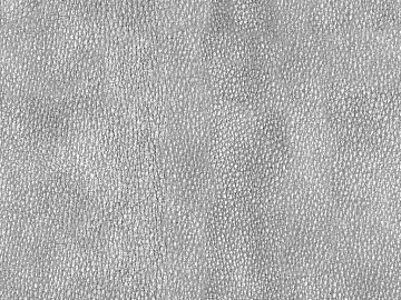 fine grain leather texture (ID:ffaag09459)