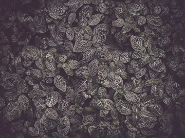 leaves texture (ID:ffagg70278)