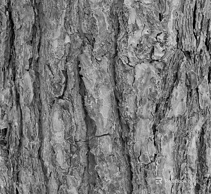 bark texture