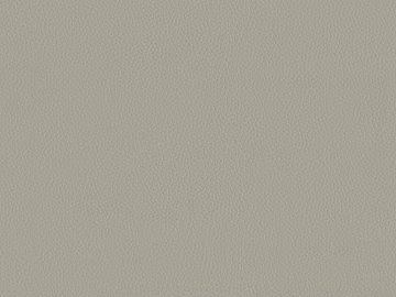 Coarse-grain leather texture (ID:ffagg84424)