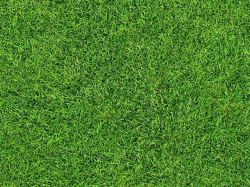 Turf 3d model