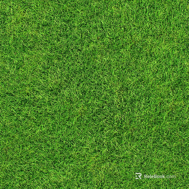 Turf texture
