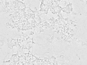 Cement floor texture (ID:ffabg68451)