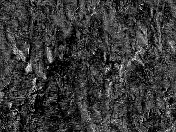 bark texture (ID:ffacg41293)