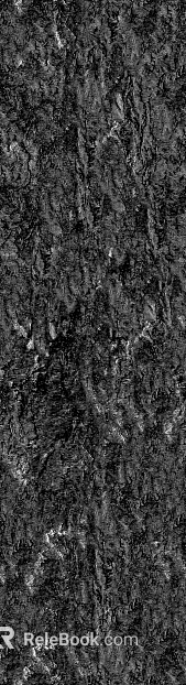 bark texture