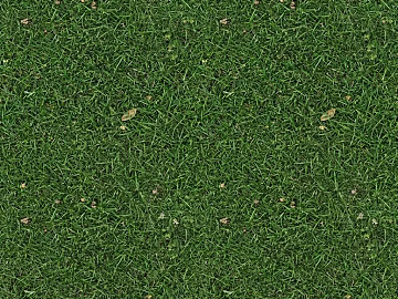 Turf texture (ID:ffaeh852236)