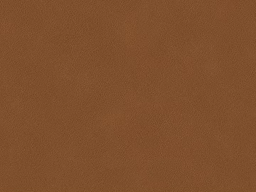 fine grain leather texture (ID:ffacg96316)