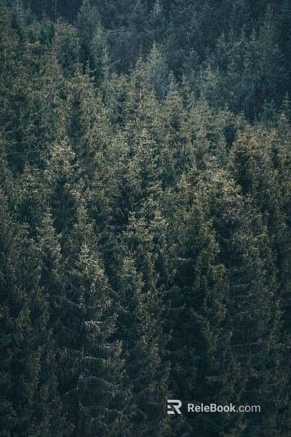 Wild Scenery texture