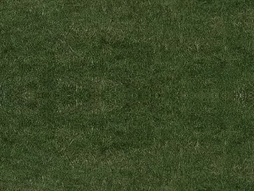 Turf texture (ID:ffaag55457)