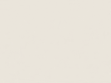 fine grain leather texture (ID:ffacg57627)